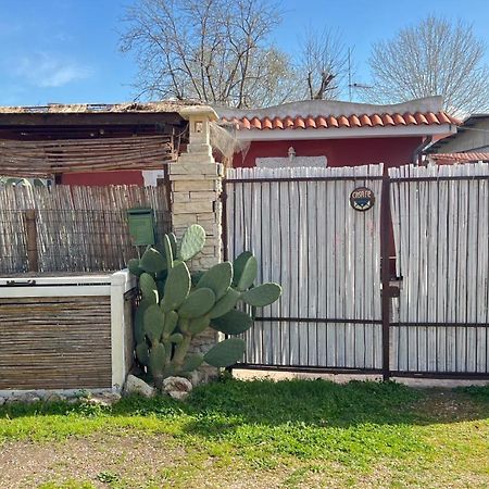 Ferienwohnung Casa Fe Fregenae Exterior foto